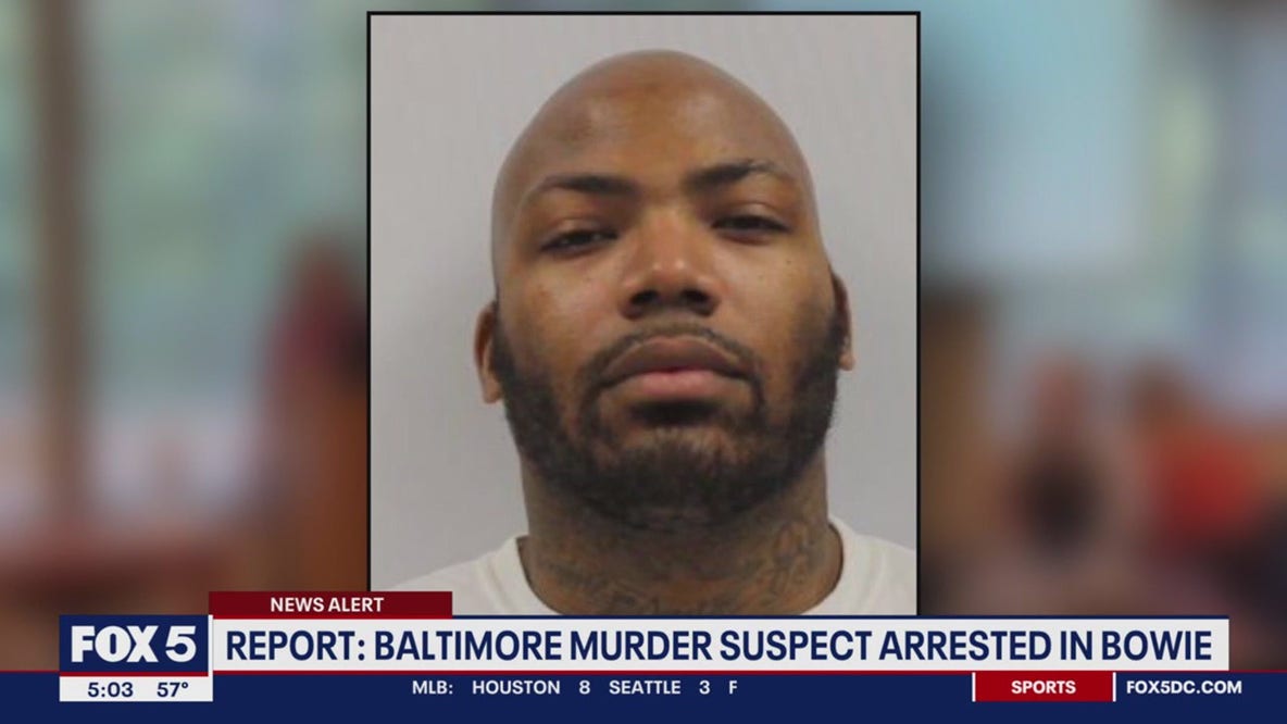 Man suspected of killing Baltimore tech CEO arrested: police